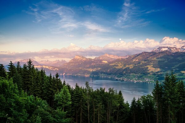 Landschaft: Ein Bergfluss inmitten eines Waldes