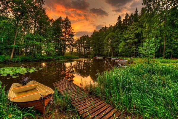 Silence over the forest lake