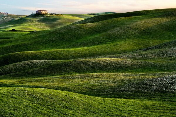 A green plain with a house in the distance