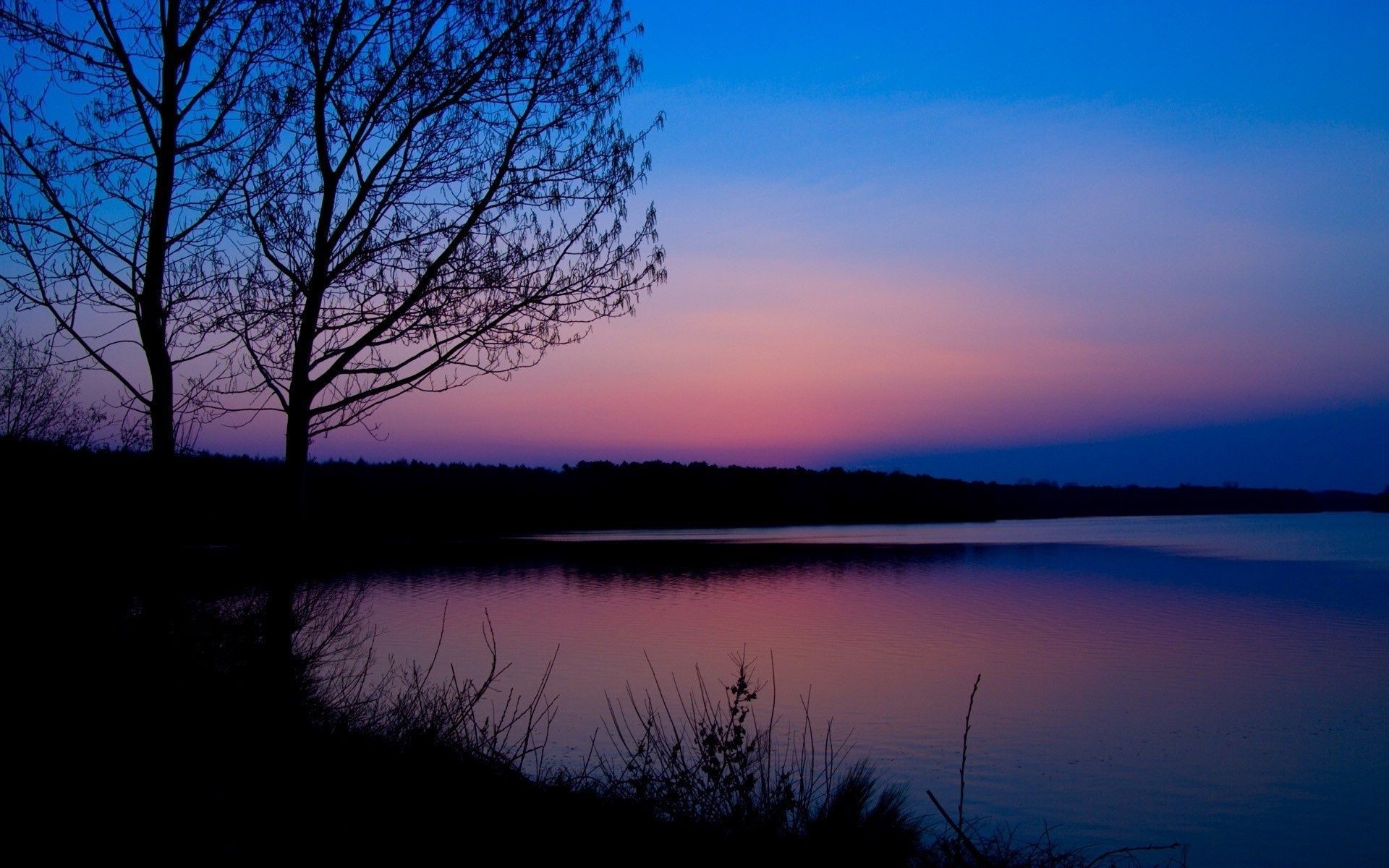 sonnenuntergang und dämmerung dämmerung see sonnenuntergang landschaft reflexion abend wasser baum natur dämmerung himmel sonne plesid