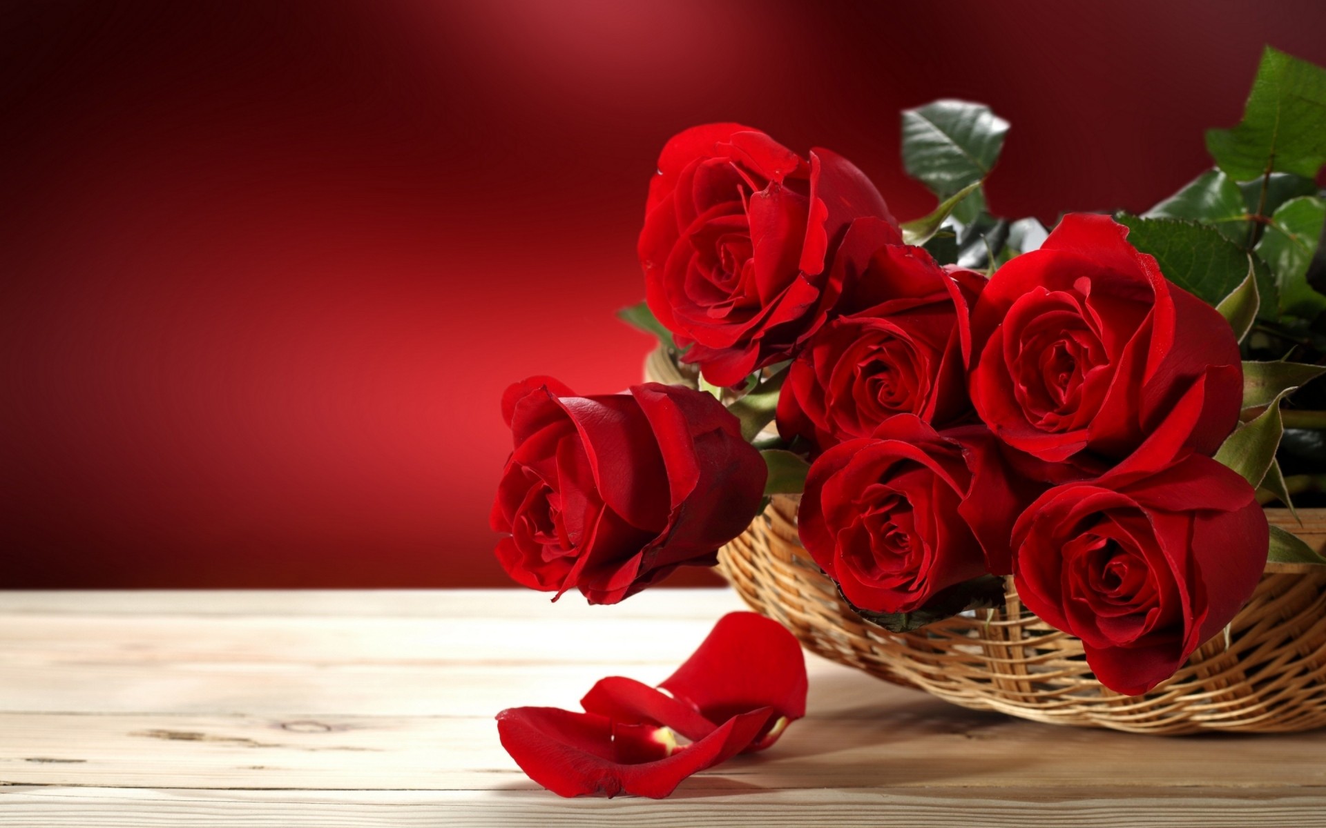 blumen rose geschenk liebe romantik romantisch blumenstrauß blume blütenblatt hochzeit jahrestag feiertag geburtstag dekoration karte blumen blühen schön valentinstag natur gruß rosen rote rosen