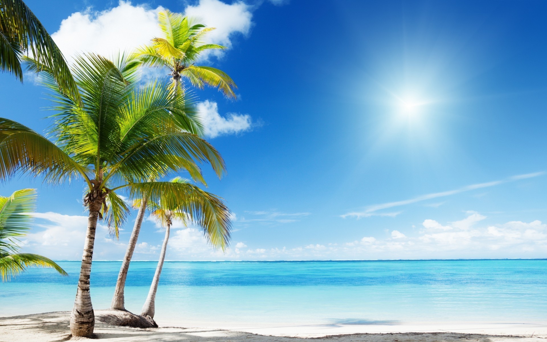 landschaft tropisch sand strand sonne sommer meer ozean paradies insel idylle landschaft exotisch urlaub wasser palmen reisen entspannung türkis gutes wetter resort landschaft palmen