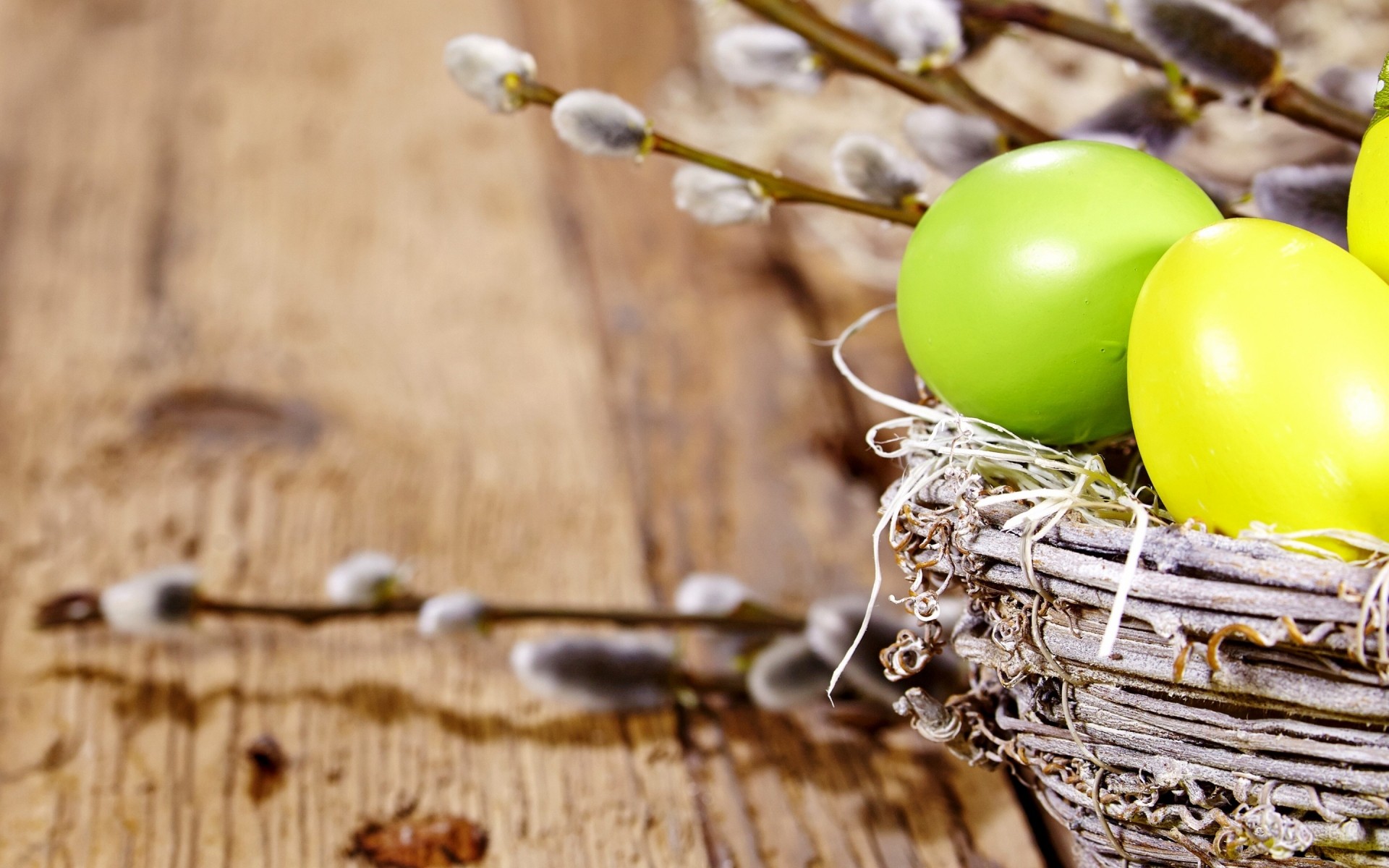 pâques en bois bois alimentaire rustique nature gros plan oeuf table bureau traditionnel nid sain pâques 2014 pâques 2014 oeufs de pâques oeufs de pâques 2014