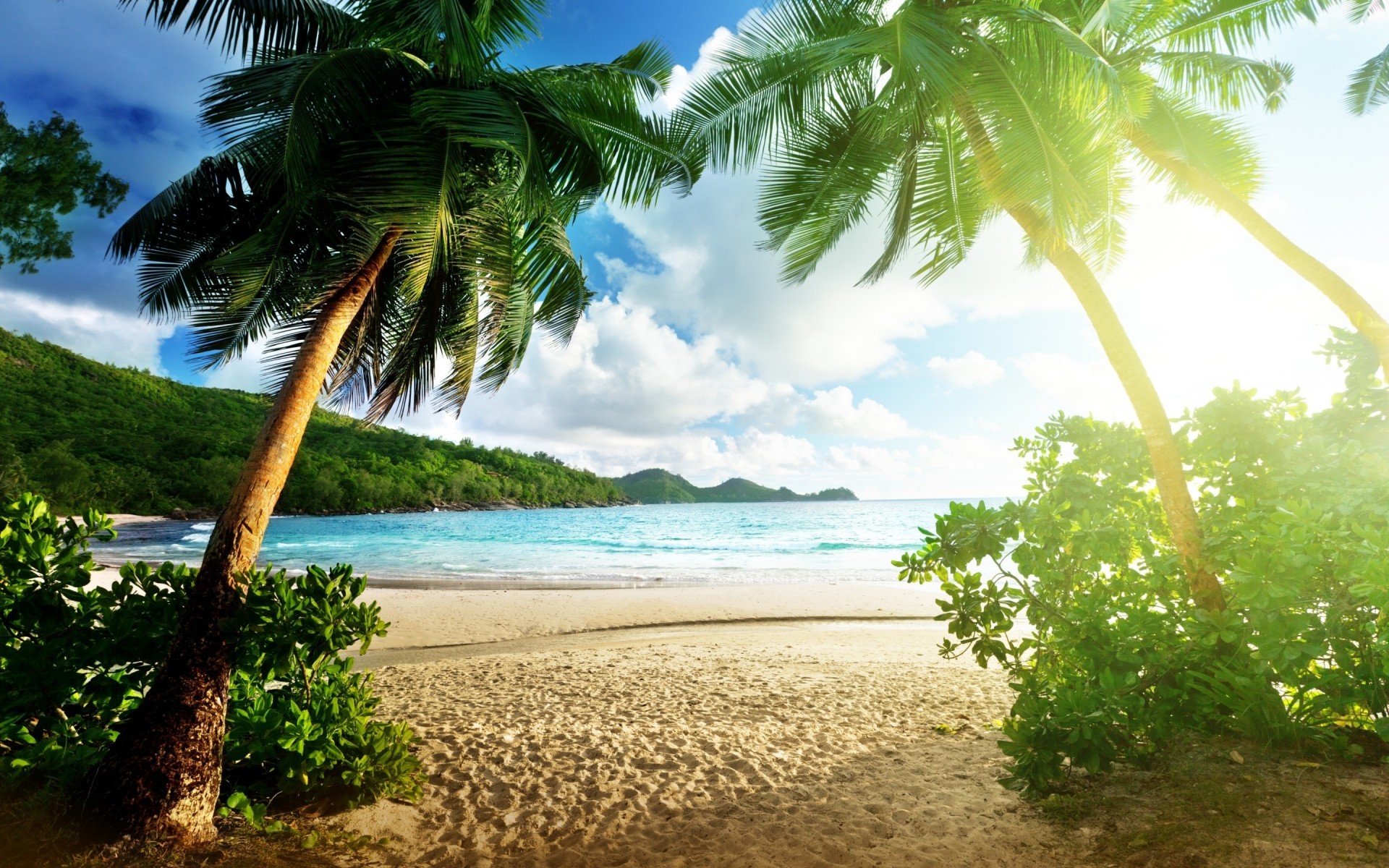 sommer tropisch strand sand meer idylle sonne ozean insel paradies exotisch palmen reisen urlaub wasser entspannung kokosnuss resort landschaft palmen landschaft meer