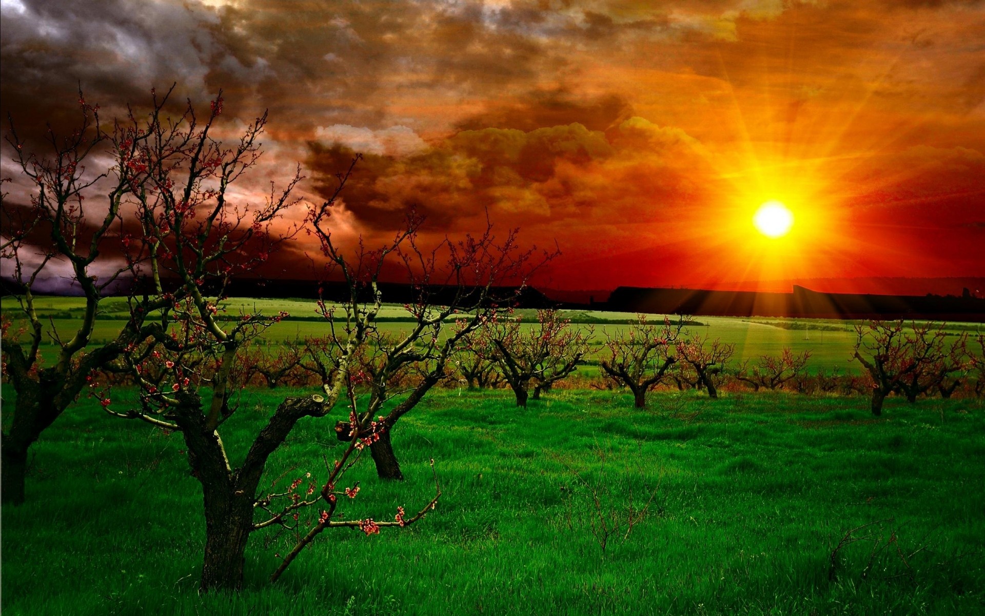 paysage aube coucher de soleil soleil paysage nature herbe champ arbre rural soir beau temps campagne lumière à l extérieur ferme agriculture foin lumineux drh jardin