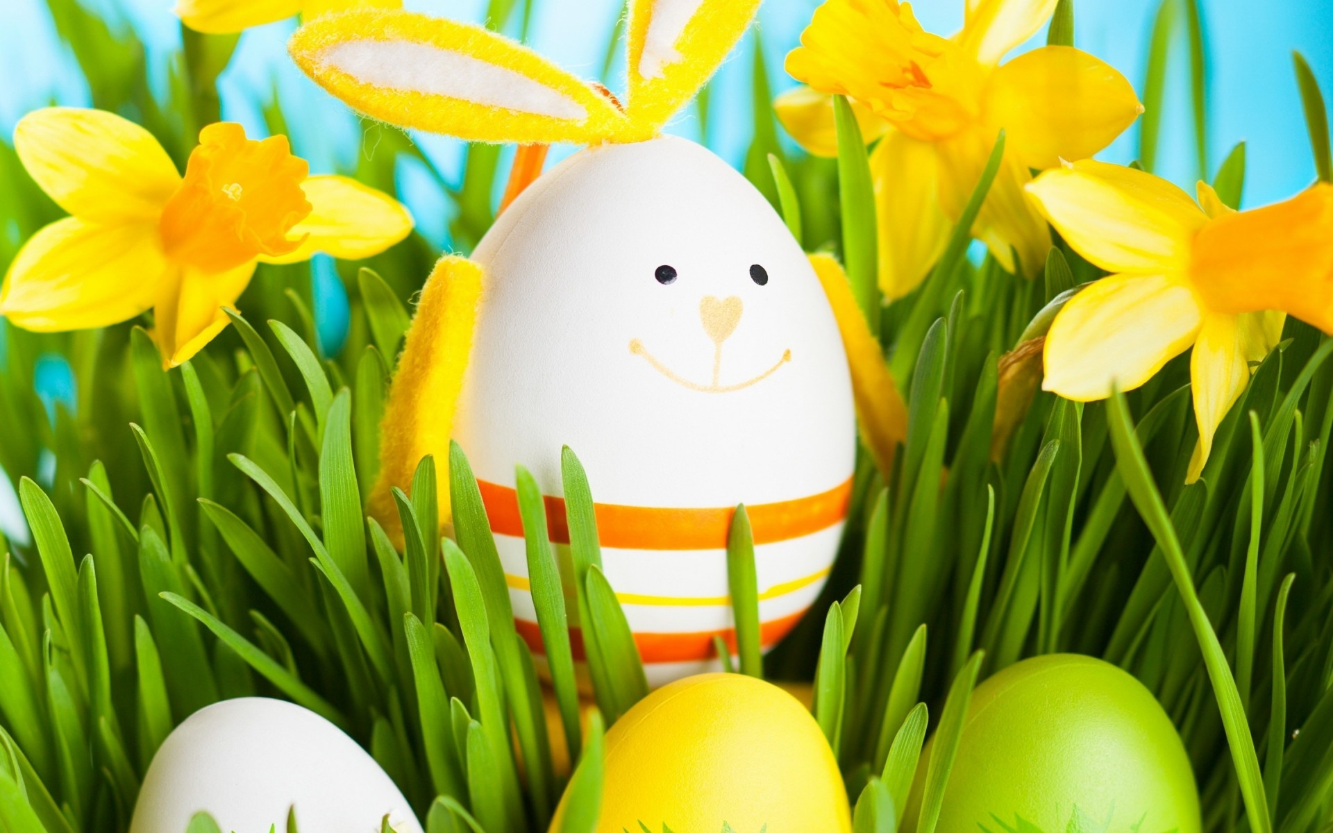 easter egg daffodil nature narcissus flower tulip grass season springtime leaf color celebration bright decoration gift floral flora easter egg easter eggs 2014 easter eggs easter 2014 2014 easter