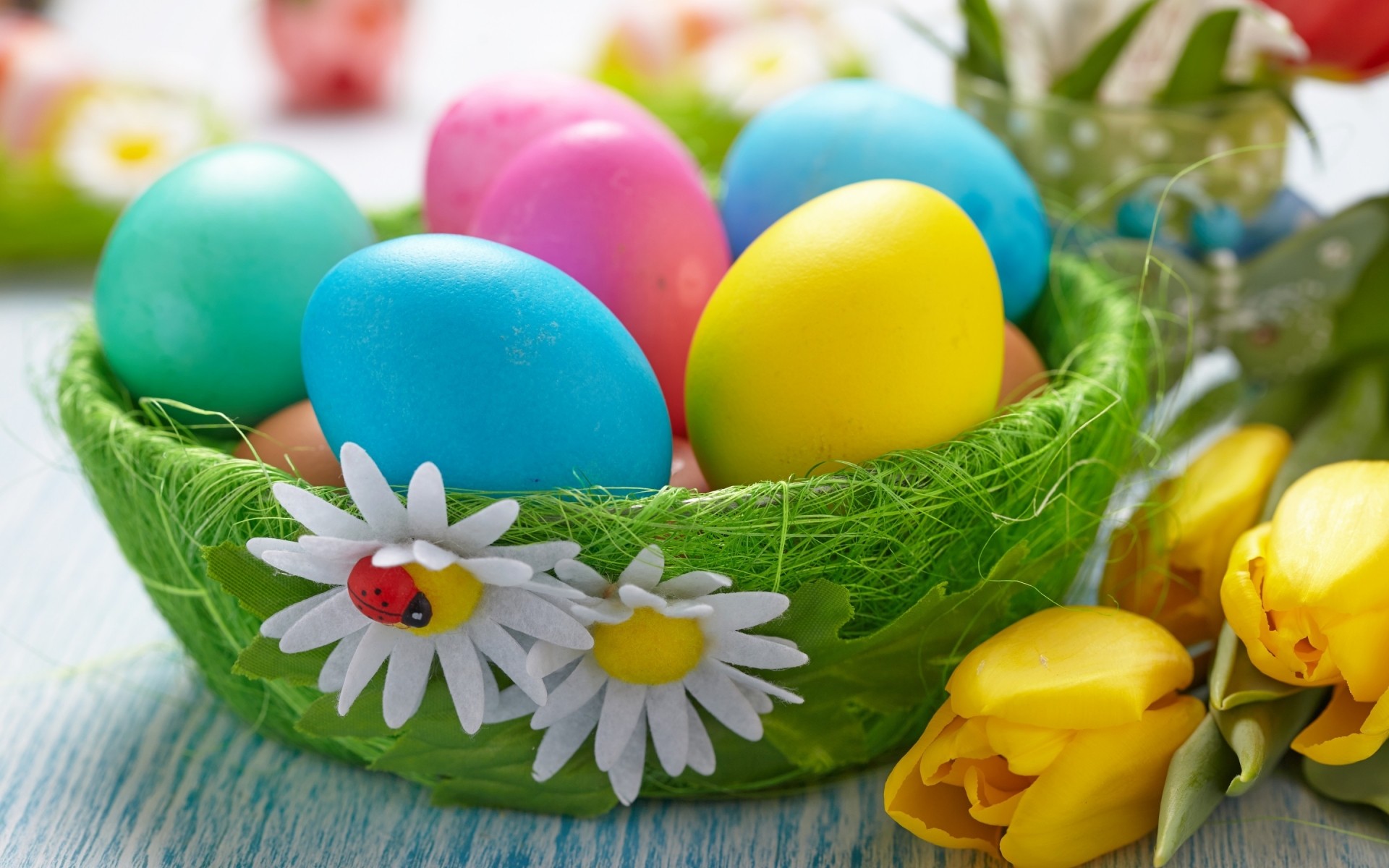 ostern ei essen süßigkeiten osterei nest dekoration korb natur urlaub süßwaren farbe hell ostereier ostern 2014 ostereier 2014 ostereier 2014