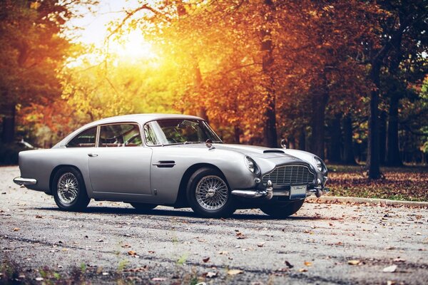 Aston Martin-coches retro