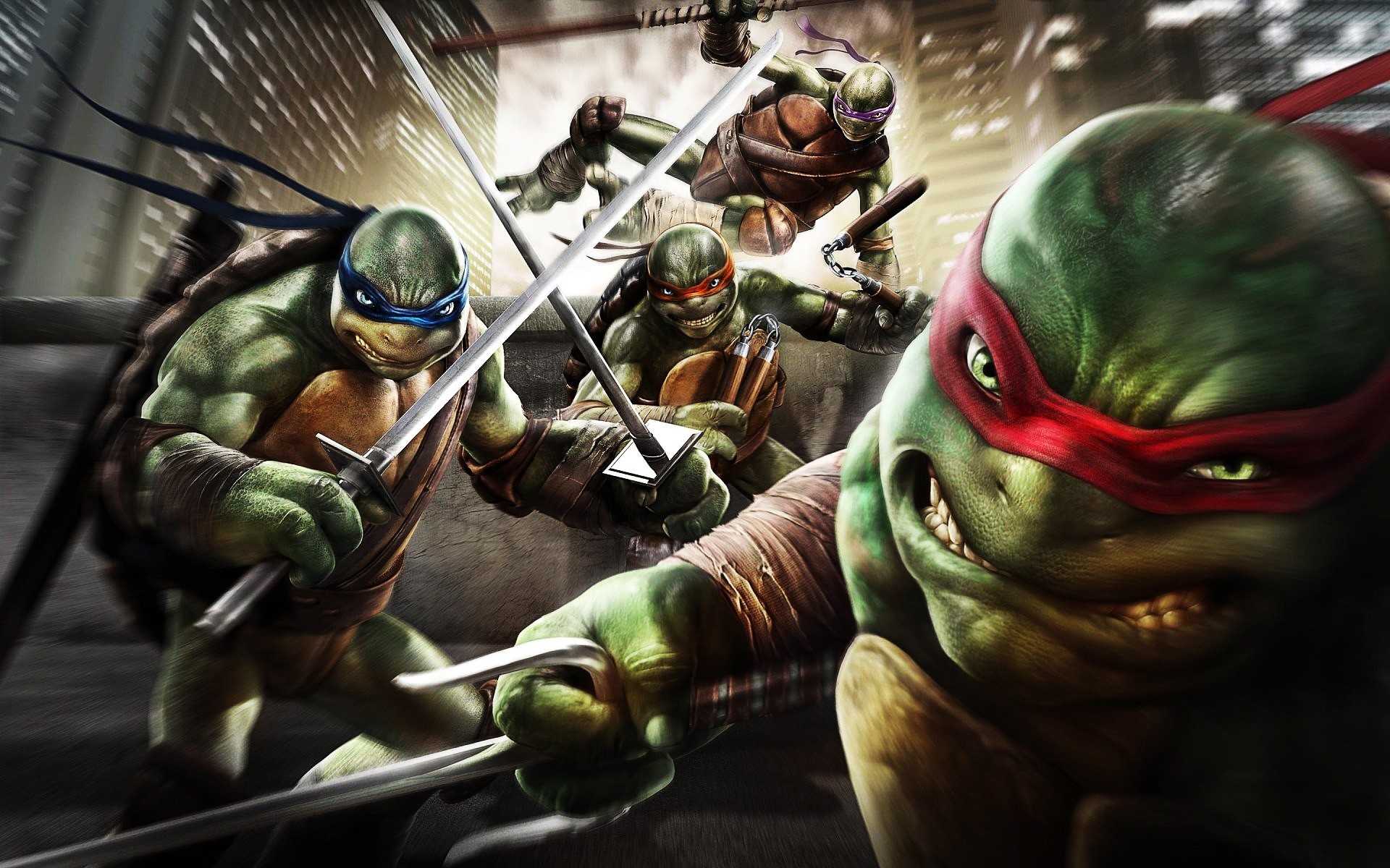 films groupe guerre homme bataille adulte festival concours femme militaire teenage mutant ninja turtles