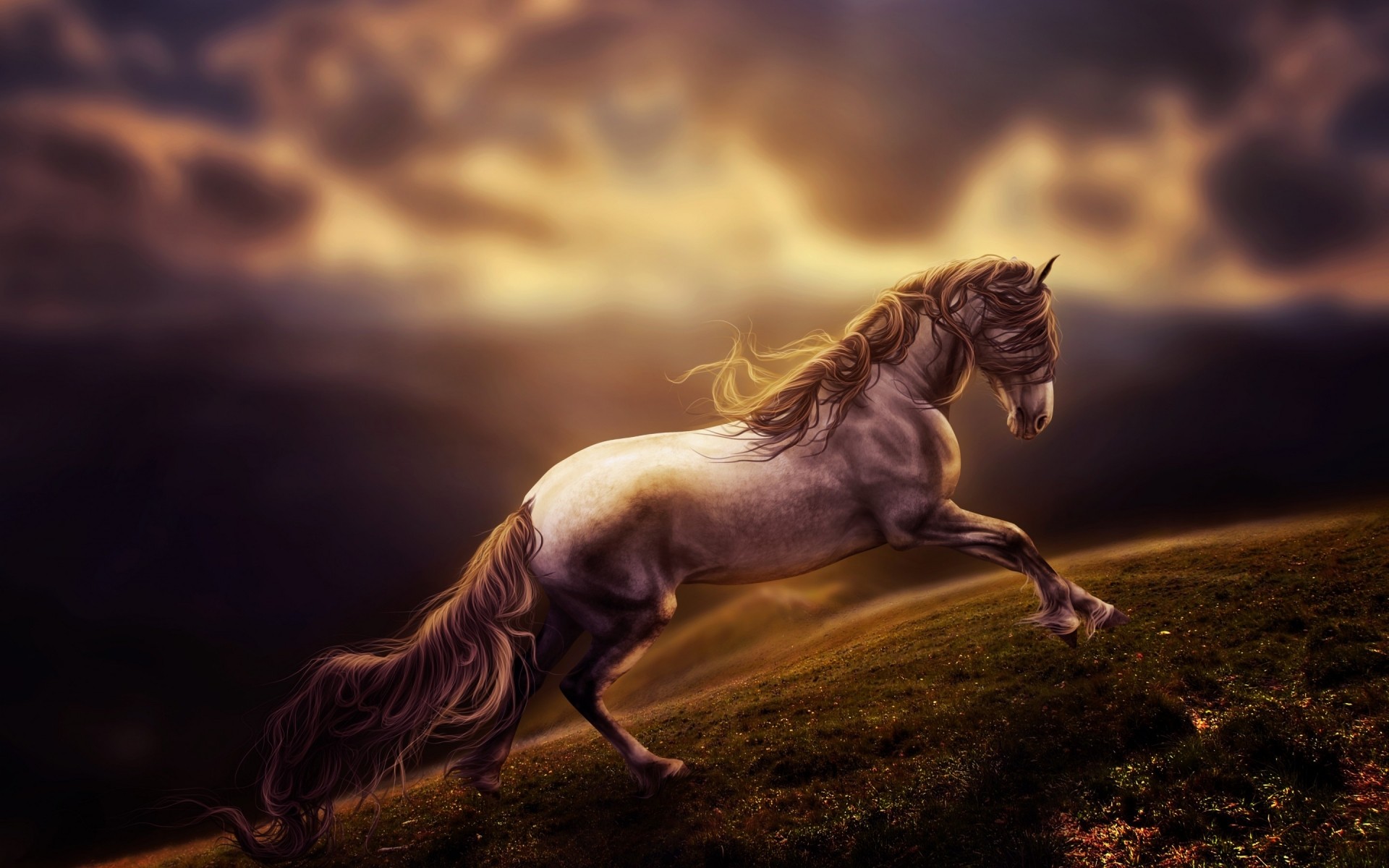 animals sunset cavalry mammal motion evening mare dawn one nude art beach blur horse landscape hdr