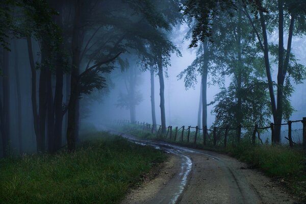 El camino se va en una espesa niebla