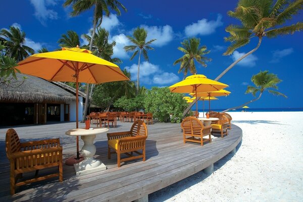 Summer vacation under an umbrella next to palm trees