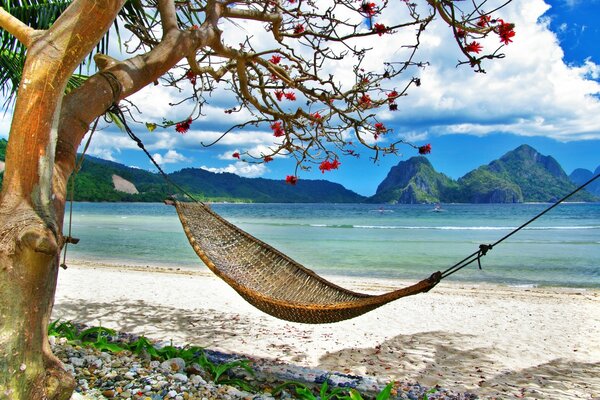 Hammock on the sandy beach