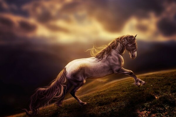 Horse gallops on the background of sunset on the mountain