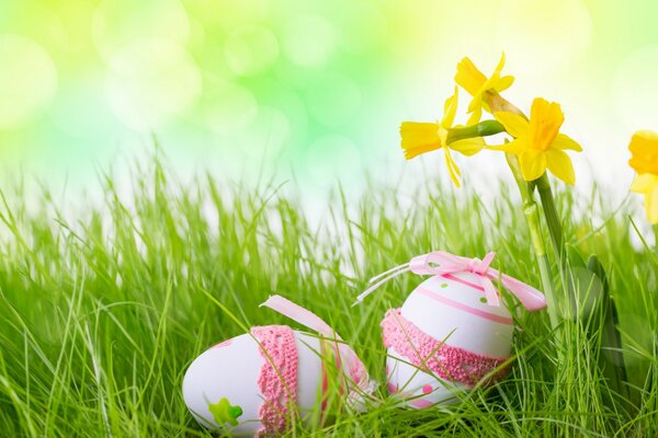 Oeufs de Pâques dans l herbe épaisse