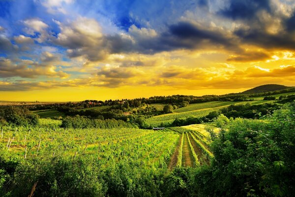 Yellow sunset over the hills in Vienna