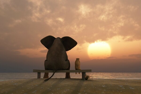 Romantic sunset of an elephant and a dog