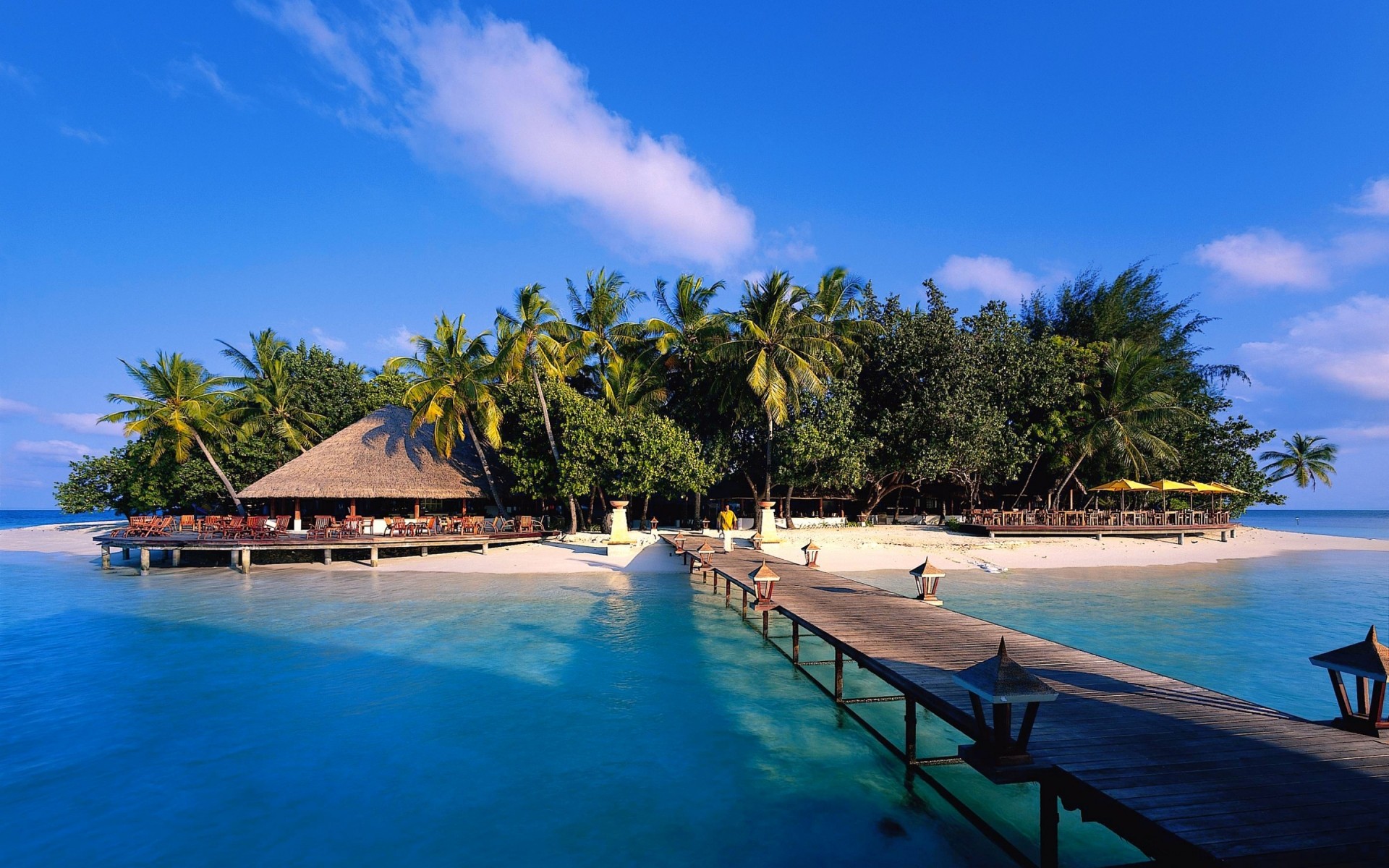 landschaft tropisch resort luxuriös hotel exotisch wasser schwimmen entspannung reisen strand sommer urlaub schwimmbad urlaub idylle palmen ozean sonne sand malediven bäume meer bungalow insel