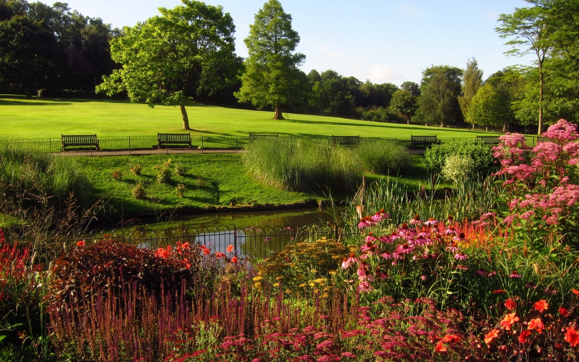 united kingdom landscape grass nature flower summer tree outdoors garden lawn scenic countryside rural park hayfield flora sight field bright color hampstead heath lake sunshine gorgeous