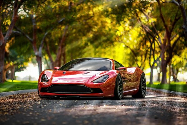 Un coche deportivo rojo en medio de una carretera estrecha contra los árboles de otoño