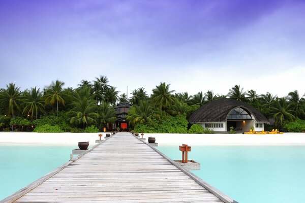 Plage tropicale, station d été