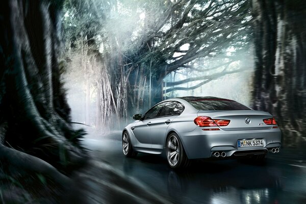 A grey BMW is driving along a forest road