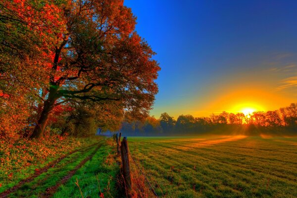 Amanecer de otoño sobre el campo