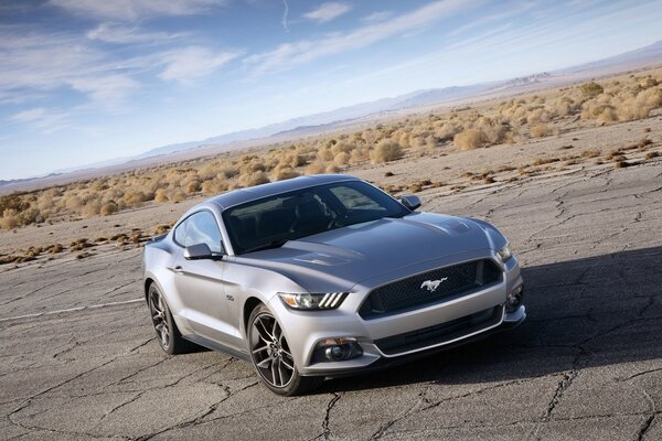 Coche ford en una carretera desierta