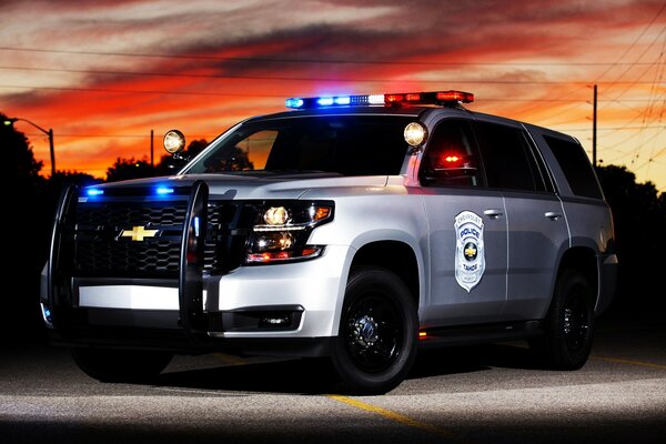 Police car at sunset