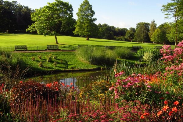 Landscape in the UK, Nature, flowers