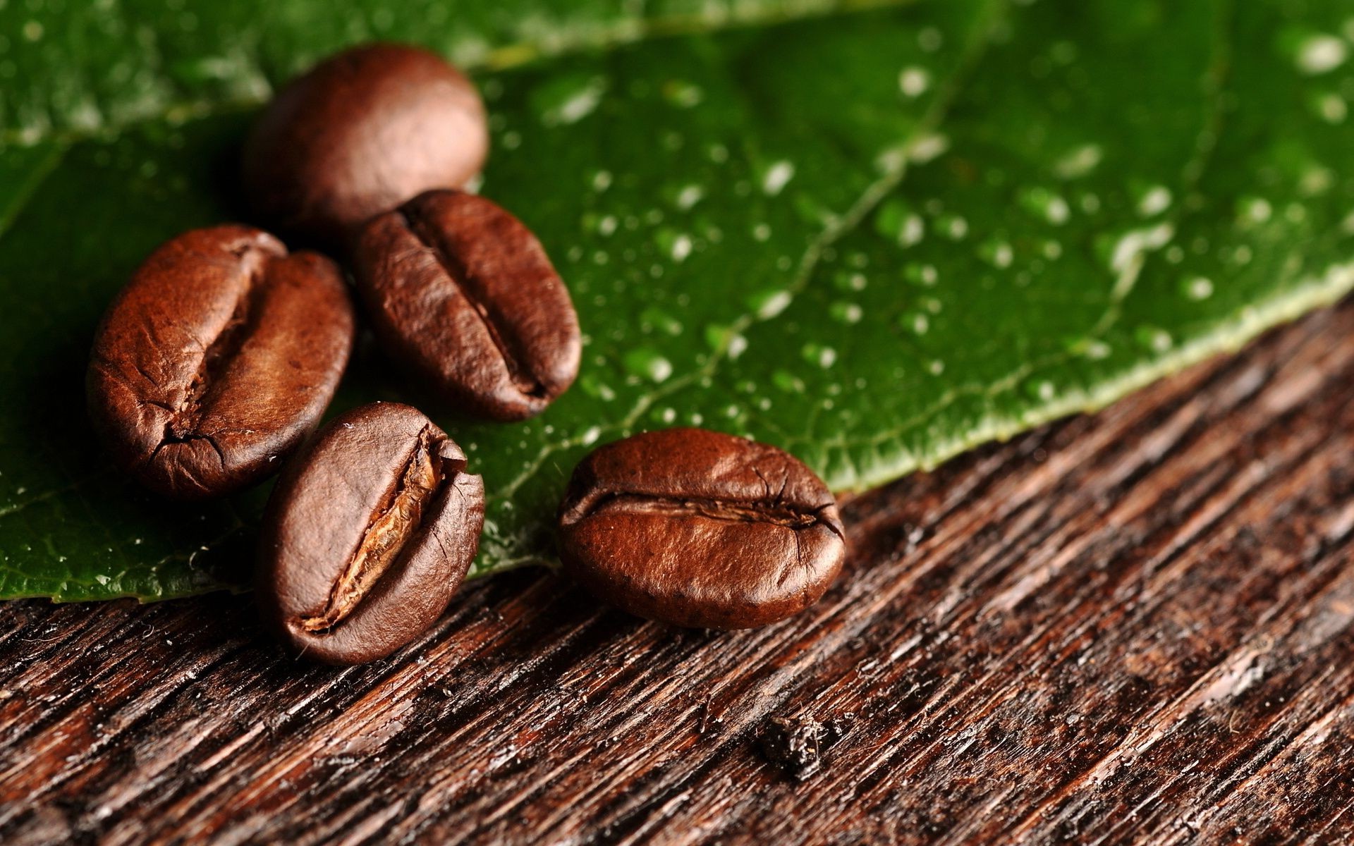 plants food close-up wood desktop coffee seed nature perfume bean dark epicure flora drink crop texture leaf