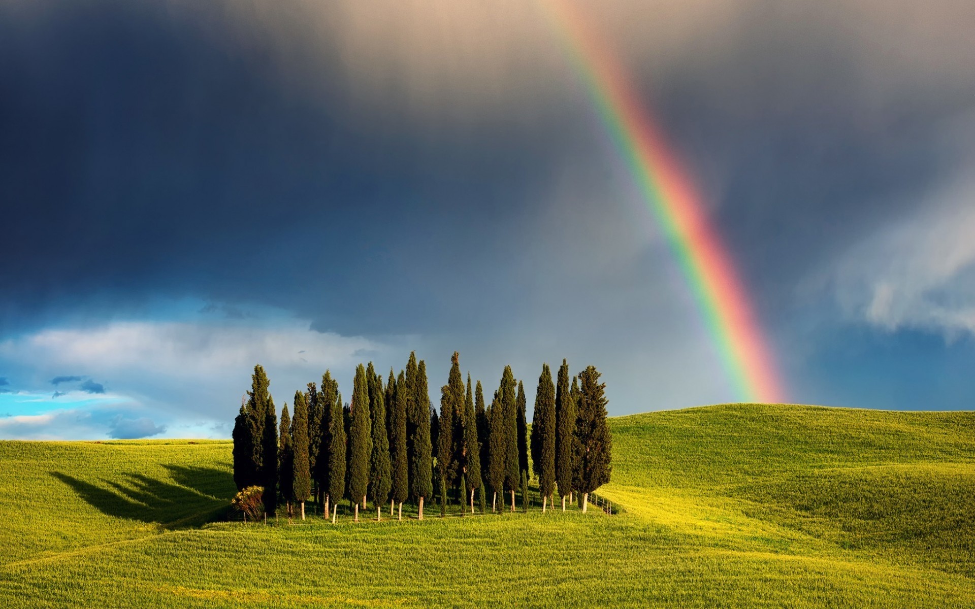 italien landschaft regenbogen gras natur des ländlichen himmel landwirtschaft bauernhof feld heuhaufen landschaft im freien sommer weide weiden toskana bäume prächtig