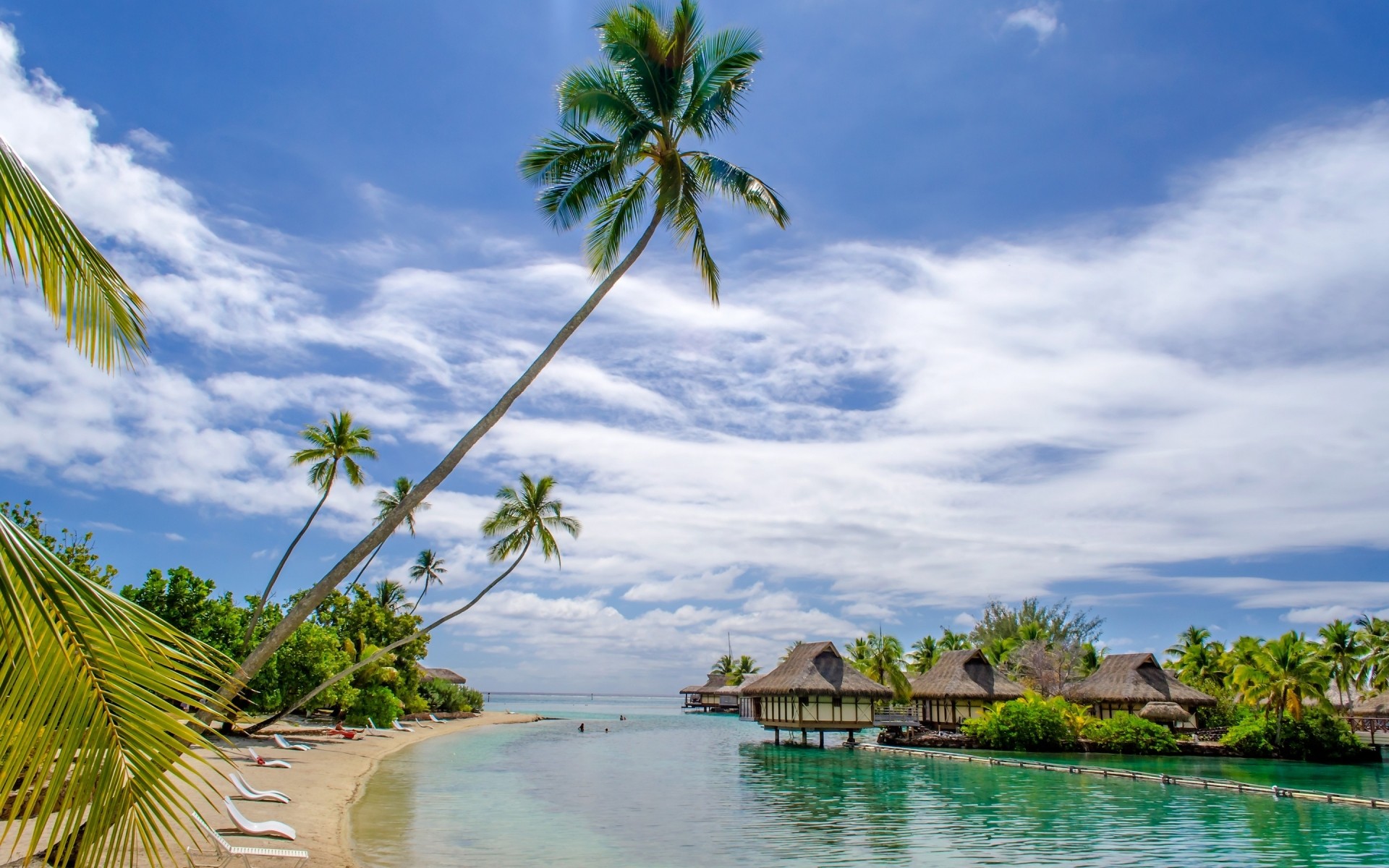 paisaje tropical playa palma arena viajes agua exótico mar isla verano idilio relajación resort coco océano vacaciones paraíso sol árbol palmeras magnífico hermoso