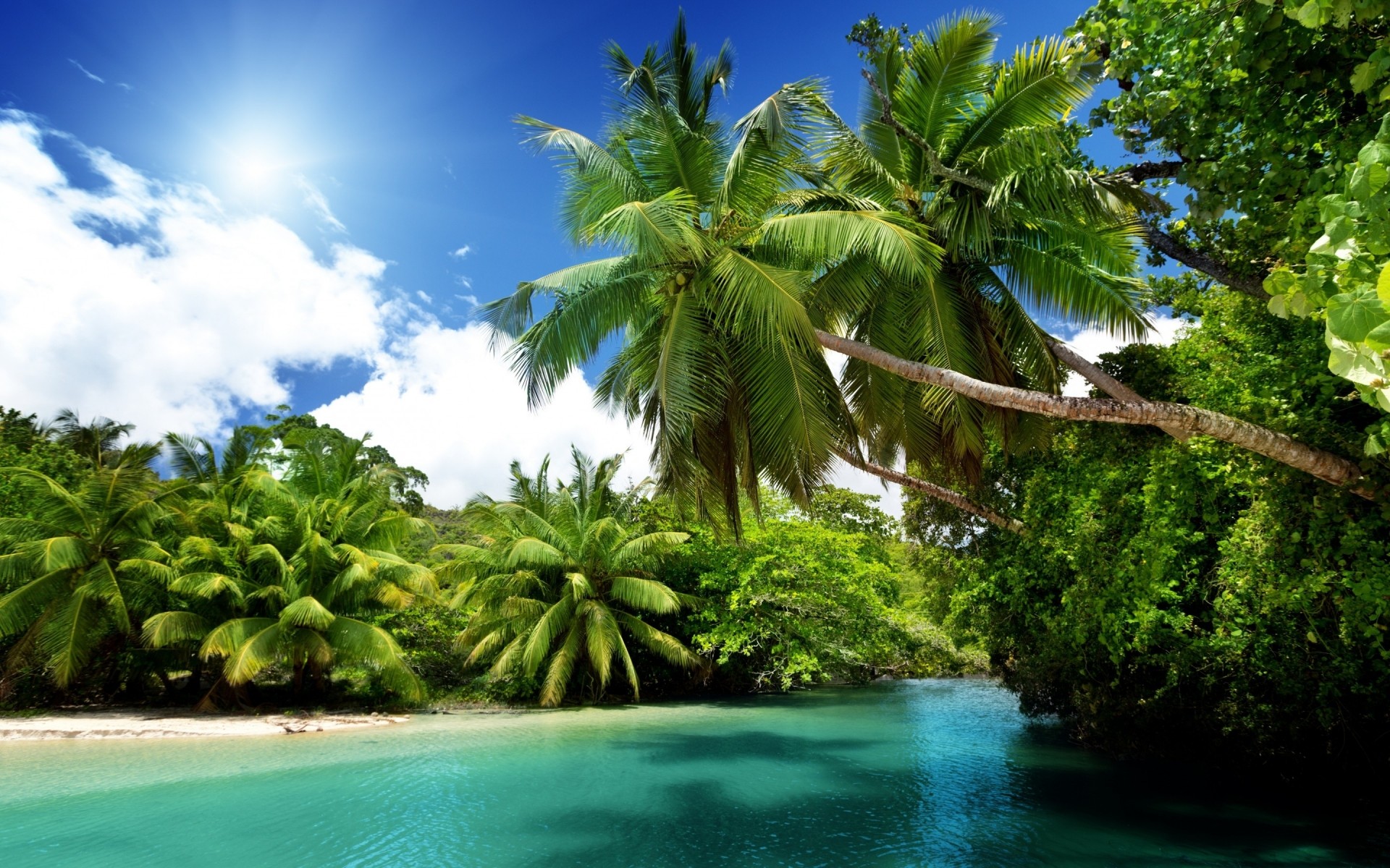 landschaft tropisch sommer sonne wasser natur paradies baum strand insel reisen exotisch idylle blatt gutes wetter palmen lagune landschaft kokosnuss landschaft meer