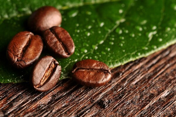 Grains de café sur une feuille verte