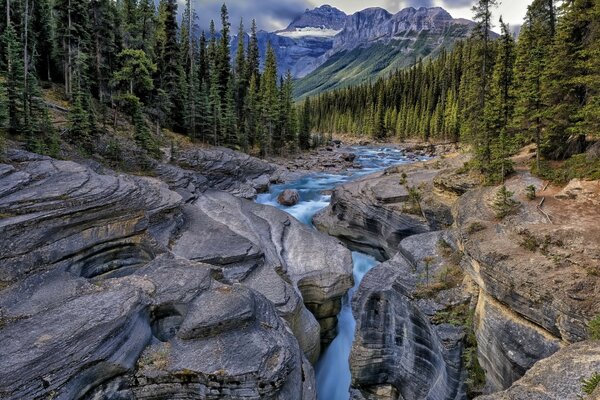 Screensaver of the landscape of mountain rivers