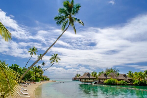 Exótica praia e alojamento