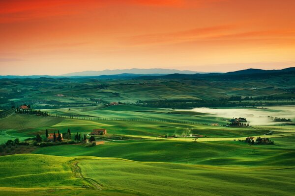 Paysage aux couleurs vives. Plaine verte