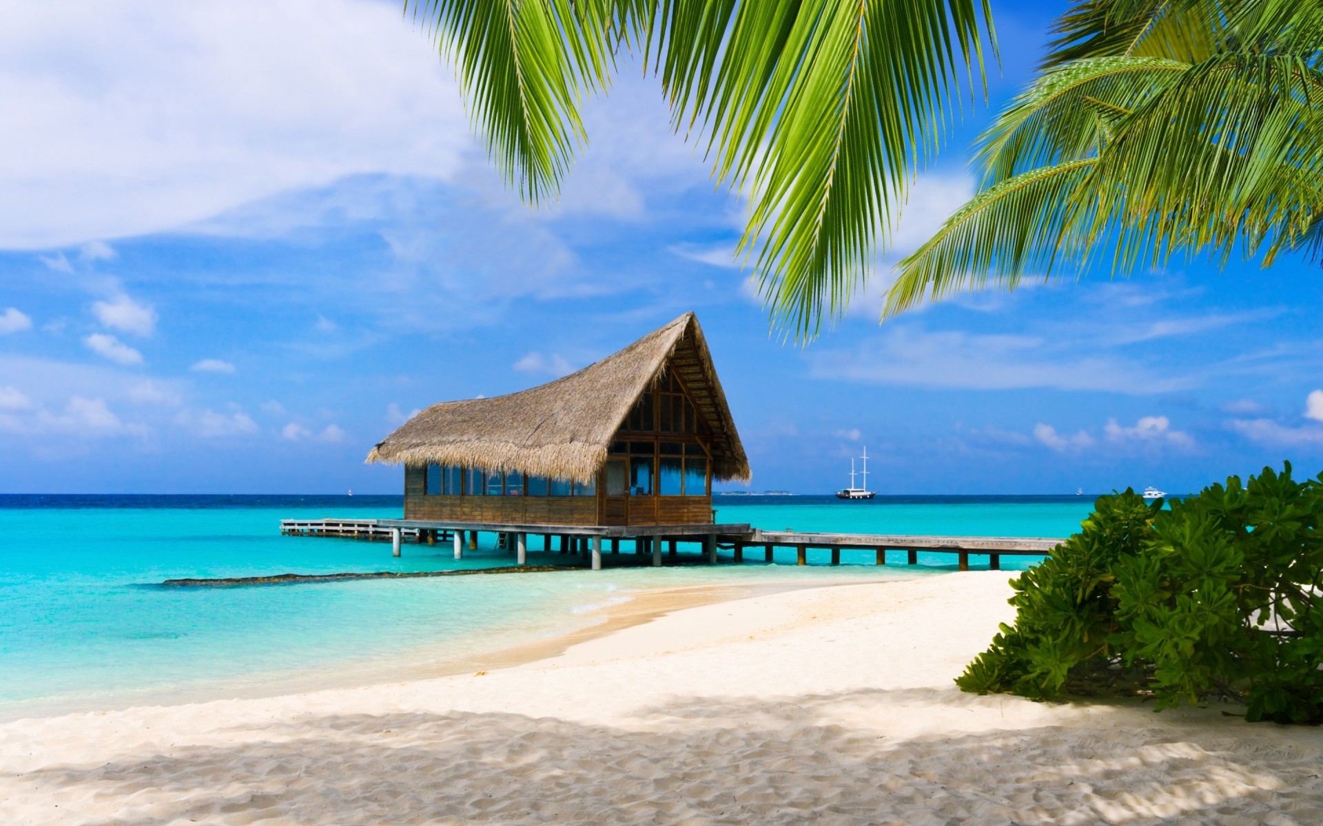 paesaggio sabbia tropicale spiaggia idillio isola estate mare esotico viaggi resort relax oceano acqua vacanza paradiso sole turchese palme paesaggio maldive splendido