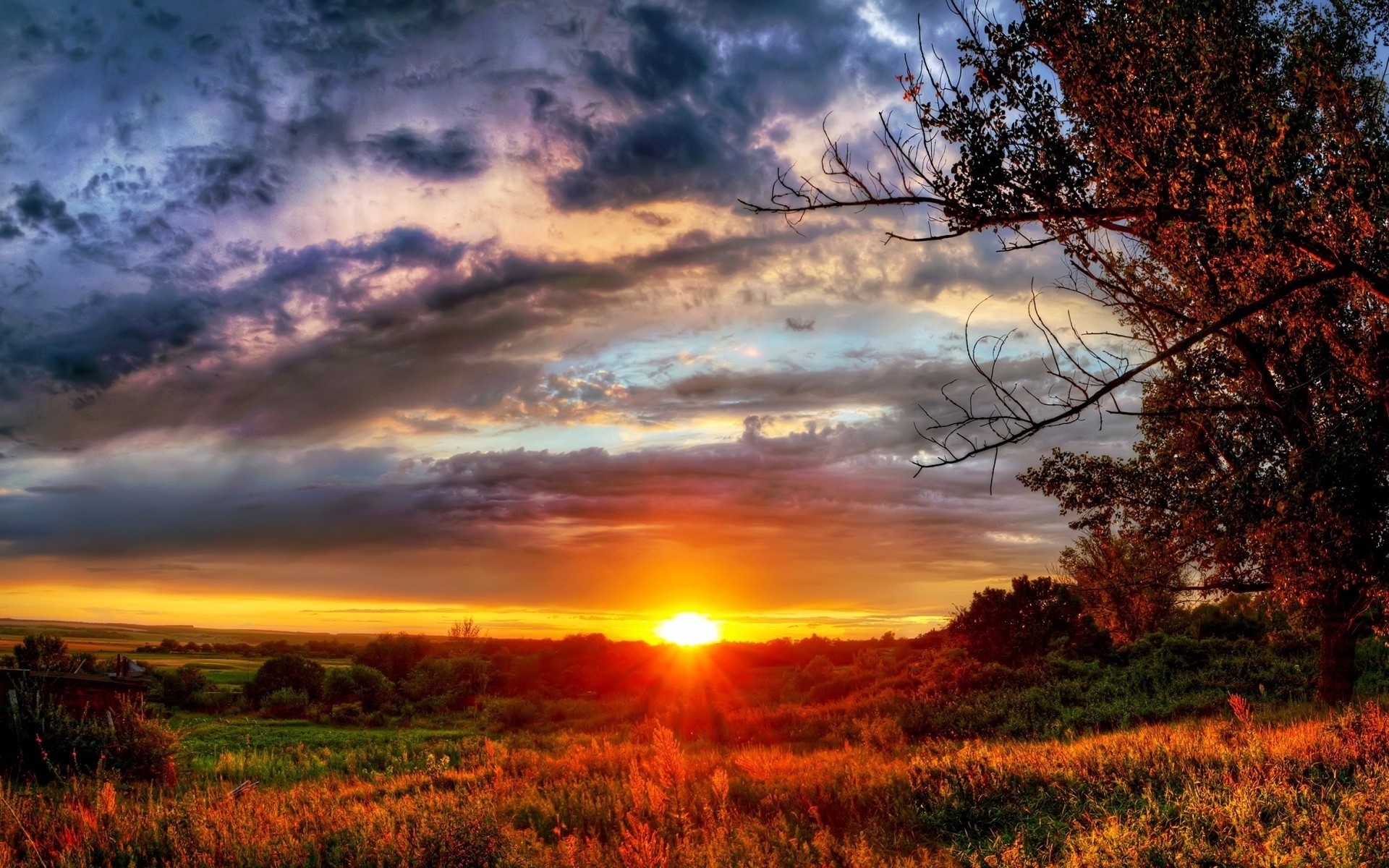 paisaje puesta de sol amanecer sol paisaje naturaleza cielo buen tiempo anochecer noche árbol brillante rural al aire libre nube luz verano otoño campo campo magnífico fresco hermoso