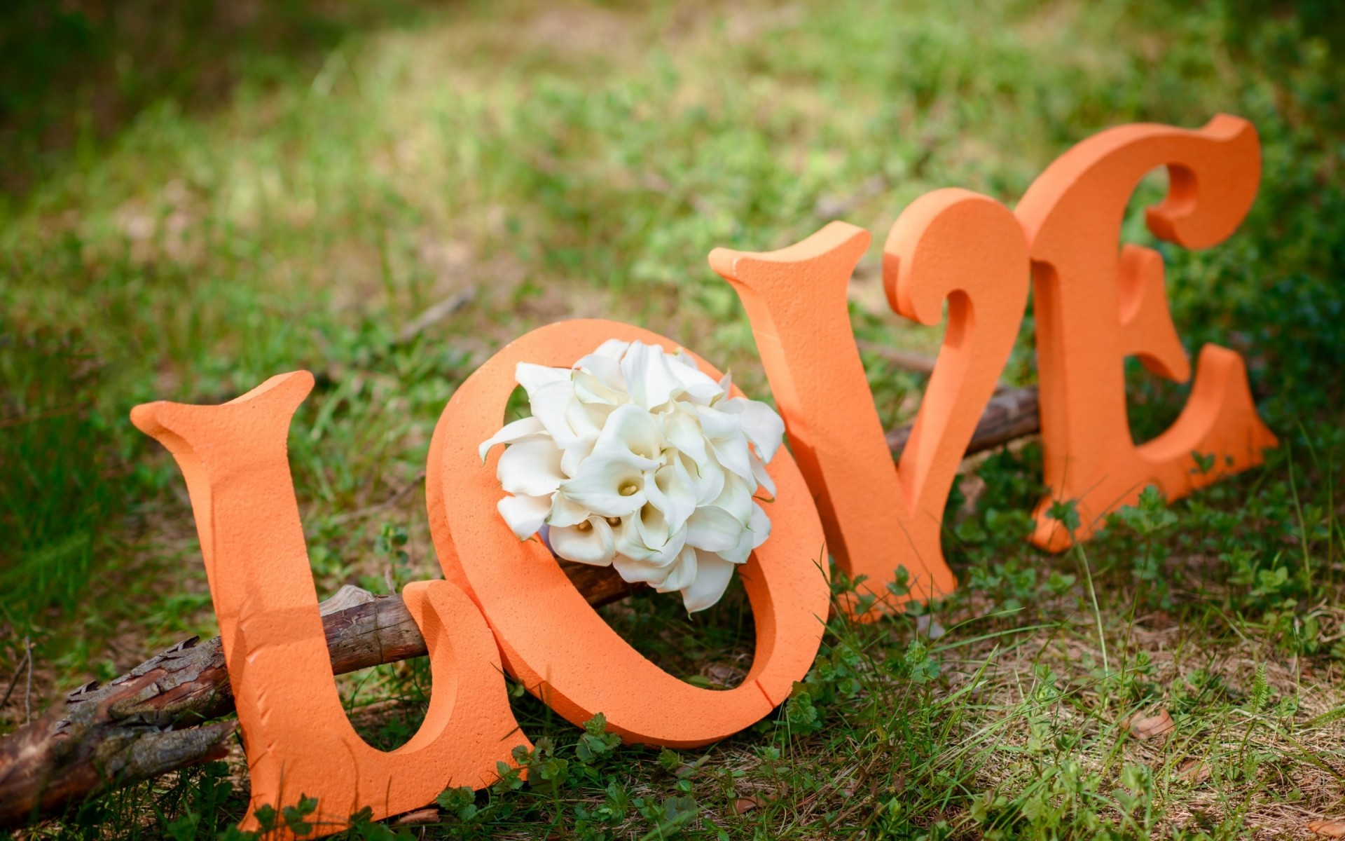 letras y graffiti madera al aire libre naturaleza hierba verano amor arte fresco magnífico