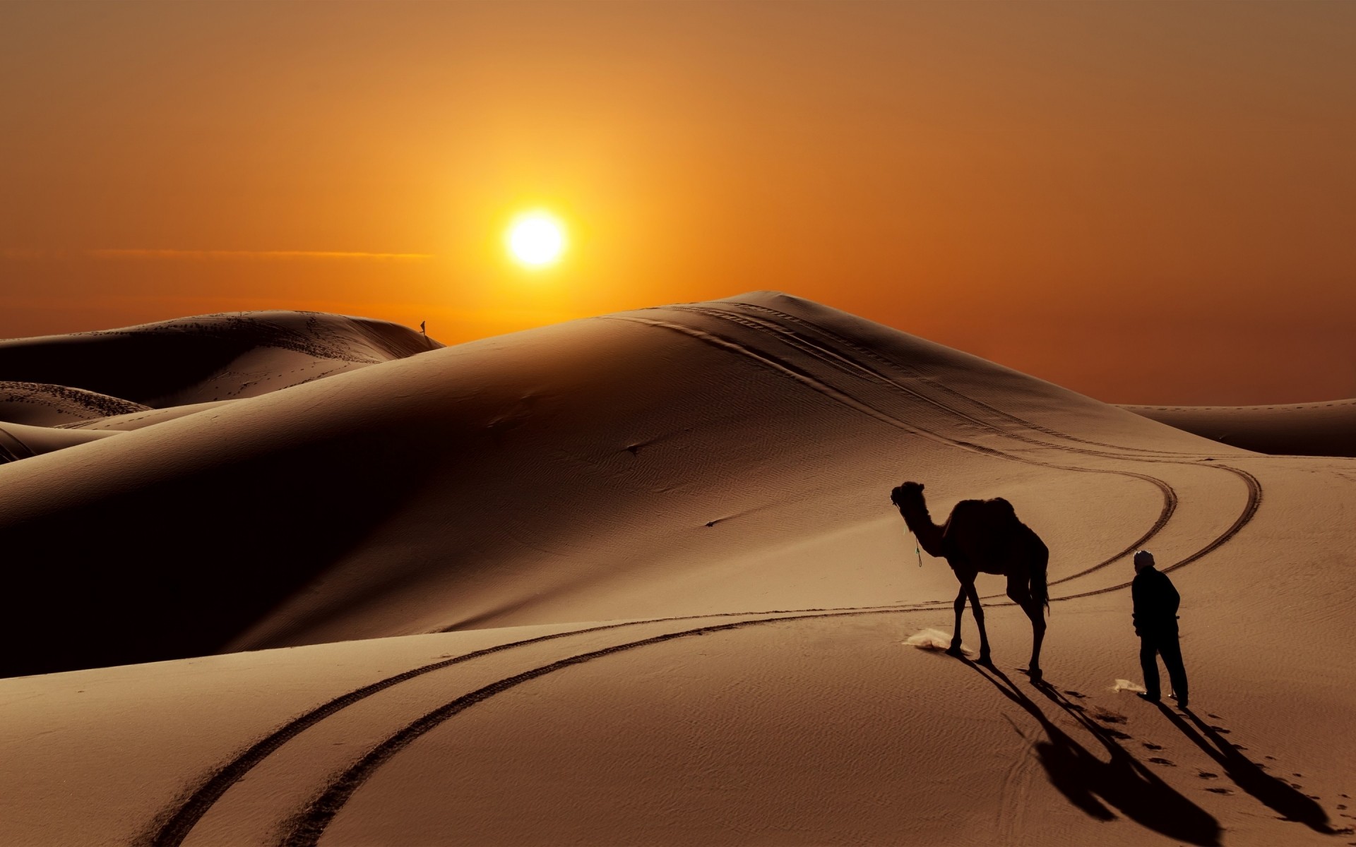 landschaft sonnenuntergang dämmerung landschaft wüste sonne strand hintergrundbeleuchtung abend reisen schatten licht himmel silhouette ozean sand dämmerung kamel