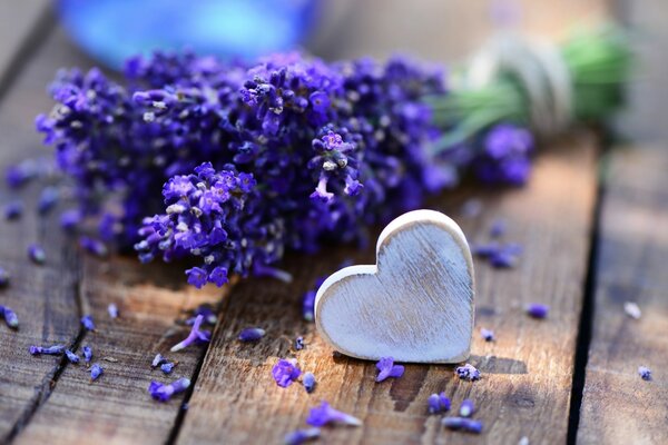 Flores de lavanda lilás com coração