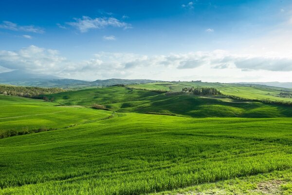 Klassische ländliche Landschaft mit Himmel und Feldern