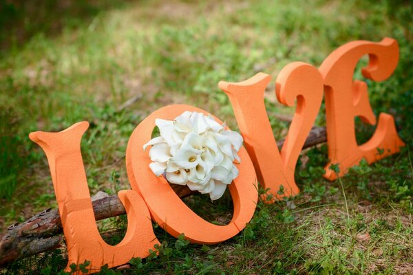 Natur Liebe Blumen Gras orange Farbe