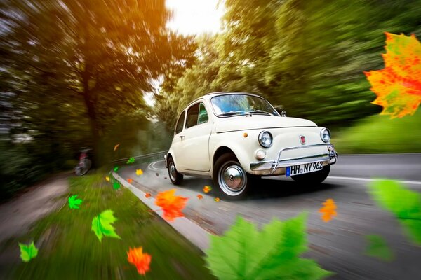 A small car scattered the leaves