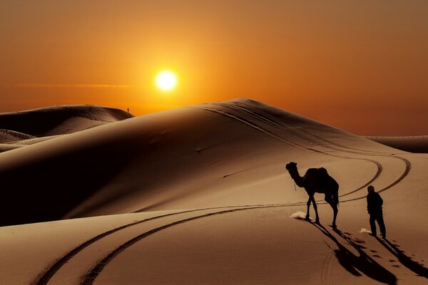 Sunset landscape in the desert