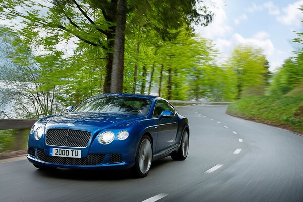 Un bentley azul corre por una carretera forestal