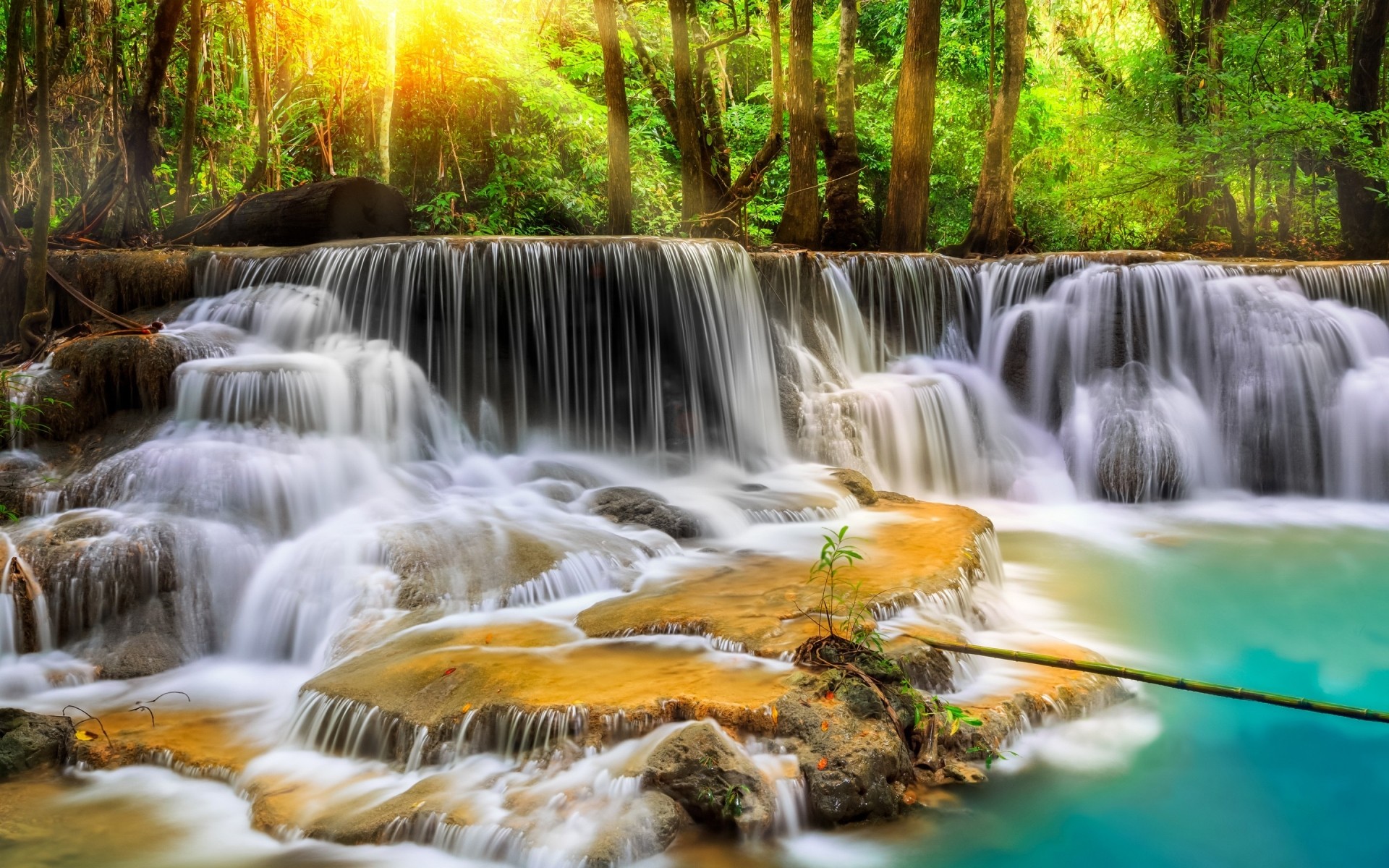 otras ciudades cascada agua río corriente naturaleza cascada corriente madera otoño movimiento hoja grito viajes roca chapoteo fotografía salvaje mojado paisaje tailandia bosque