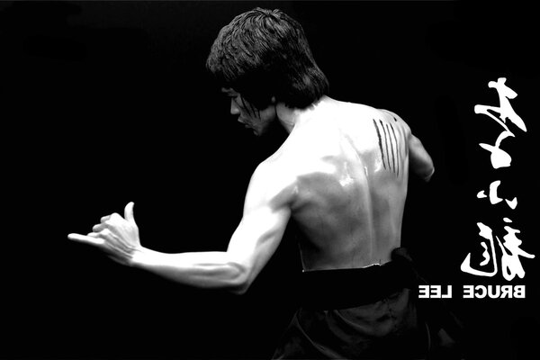 Bruce Lee torna in posizione di combattimento